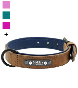 Didog Soft Leather Padded Dog Collar with Personalized Nameplate