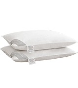 HOMEFOUCS PAIR Goose Feather and Down Pillows