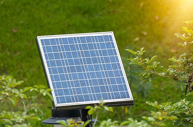 Best Solar Panels to Power Your Home  