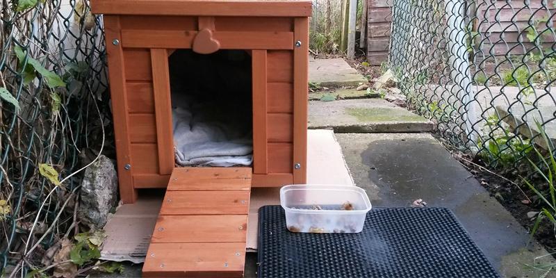 Review of VivaPet Wooden Hide Rabbit House