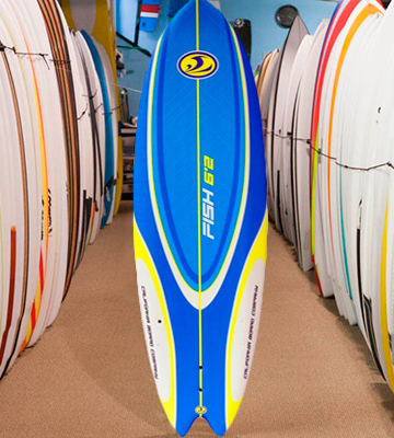 California Board Company Sushi Fish Soft Deck Surfboard - Bestadvisor