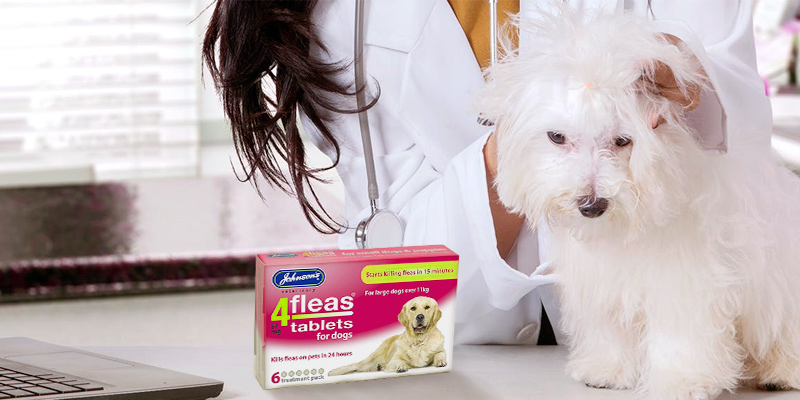 Review of Johnsons Veterinary Products 4Fleas Dog Tablets