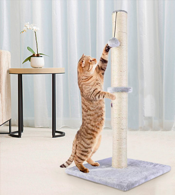 Dimaka 29 Tall Cat Scratching Post - Bestadvisor