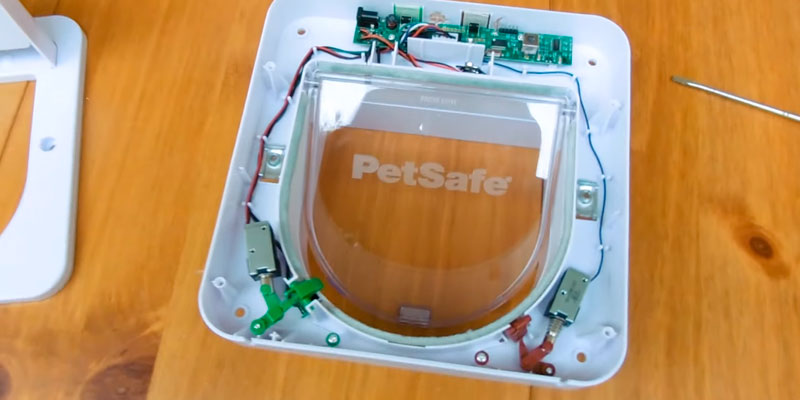 PetSafe 82690 Petporte Smart Flap Microchip Cat Door in the use - Bestadvisor