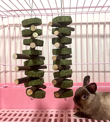 AUOKER Apple Wood Sticks Chew Toys for Bunny, Rabbits - Bestadvisor