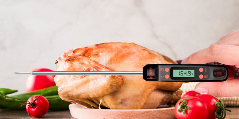 Review of Habor UKAA1 Digital Cooking Thermometer