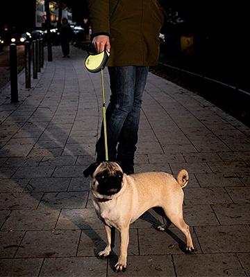 Flexi Neon Retractable Dog Lead - Bestadvisor