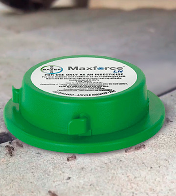 Maxforce Bayer LN Indoor/Outdoor Ant Bait Station - Bestadvisor