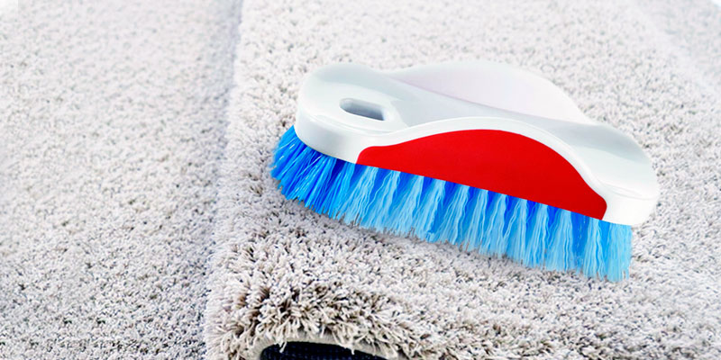 Review of Vileda 125810 Scrubbing Brush