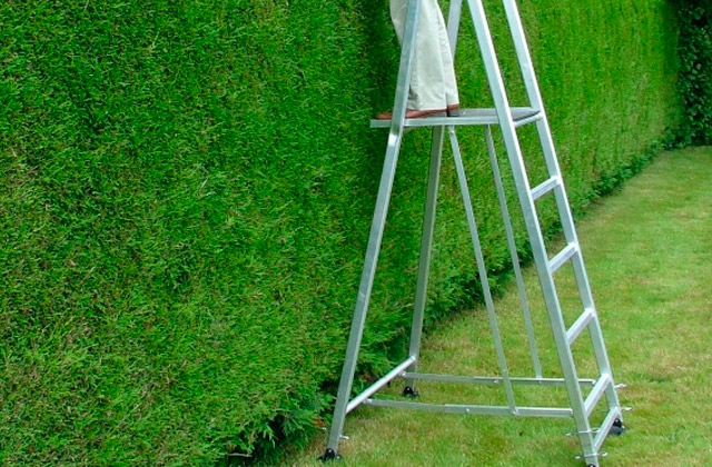 Best Step Ladders to Reach Anywhere  