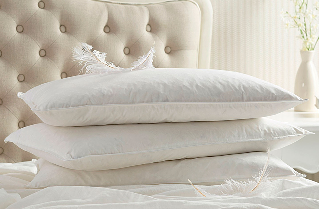 Comparison of Feather Pillows