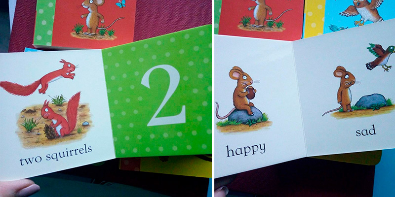 Macmillan Children's Books Board book My First Gruffalo Little Library in the use - Bestadvisor