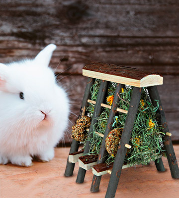 TRIXIE Wooden with Hay and Seed Rings Toys for Rabbit - Bestadvisor