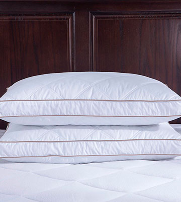 puredown Pack of 2 Goose Feather Pillows for Deep Sleeping - Bestadvisor