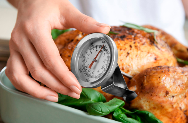 Comparison of Cooking Thermometers