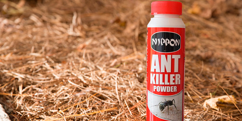 Review of Nippon VBPHUKA1291 Ant Killer Powder