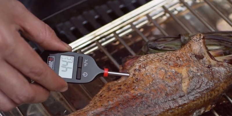 Review of Weber 6750 Instant-Read Thermometer