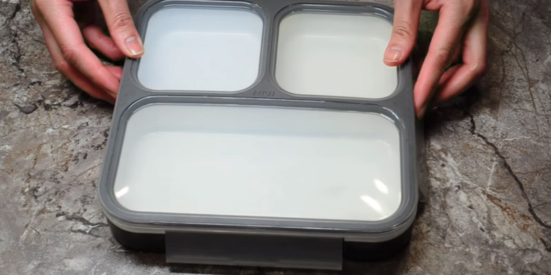 Review of Modetro Bento Lunch Box 3 Portion Control Leak Proof Compartments
