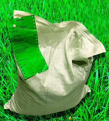 GBW Grass Seed Grass Seed Covers Premium Quality Seed - Fast Growing - Hard Wearing Lawn Seed - Bestadvisor