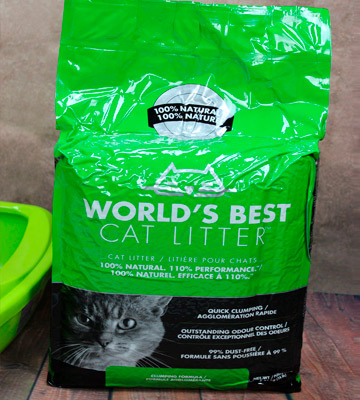 World's Best Cat Litter Original Quick Clumping - Bestadvisor