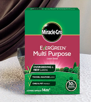 Miracle-Gro EverGreen Multi-purpose Grass Seed - Bestadvisor