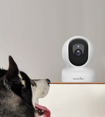 Wansview 636w 1080P Pets Camera Monitor with 2-Way Audio and Night Vision - Bestadvisor