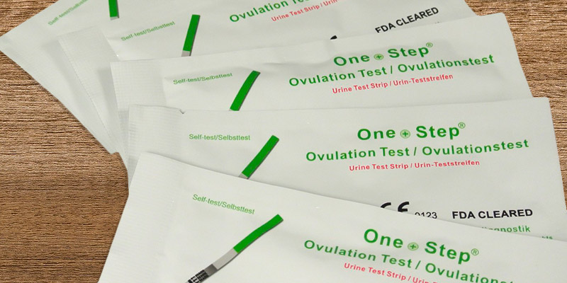 Detailed review of One Step Fertility Pack Digital Basal Thermometer + 10 Ovulation & 10 Pregnancy tests - Bestadvisor