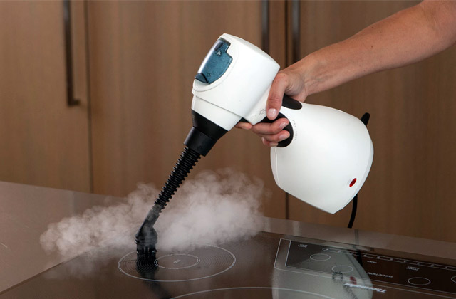 Comparison of Handheld Steam Cleaners