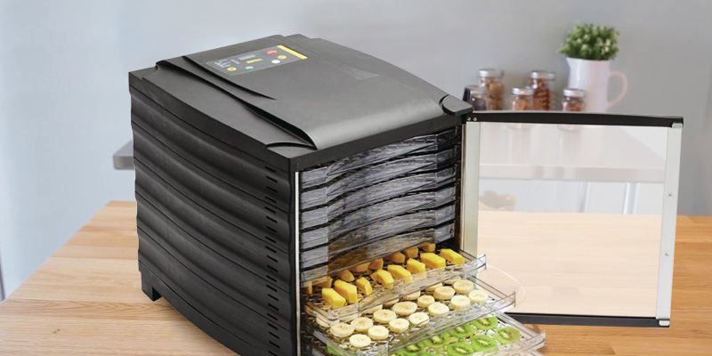 Review of Buffalo 10 Tray Food Dehydrator With Timer And Door