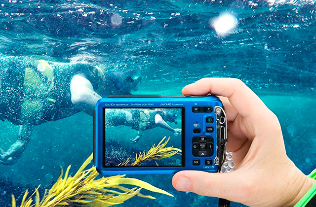 Best Waterproof Cameras for Underwater Shooting  