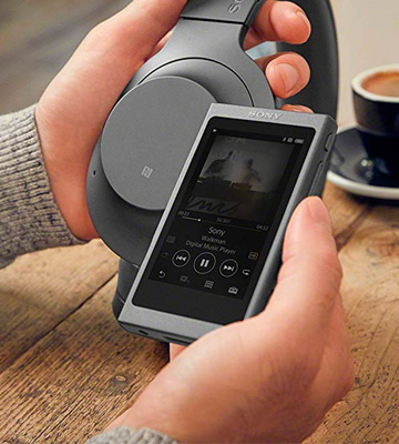 Sony NW-A45 3.1 Inch Touch Display MP3 Player - Bestadvisor