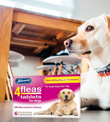 Johnsons Veterinary Products 4Fleas Dog Tablets - Bestadvisor