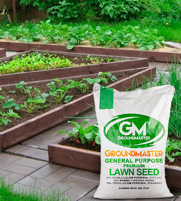 GroundMaster General Purpose Lawn Garden Grass Seed - Bestadvisor
