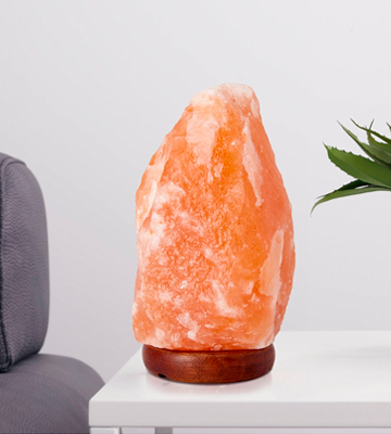 The Body Source Himalayan Salt Lamp with Dimmer Switch - Bestadvisor
