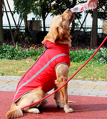 Idepet Waterproof Dog Coat - Bestadvisor
