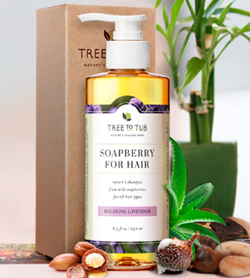 Tree to Tub SOAPBERRY FOR HAIR Sensitive Skin - Bestadvisor