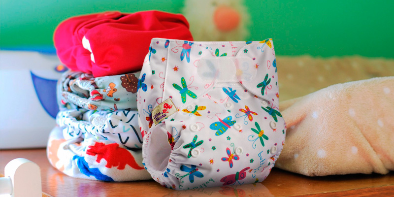 Review of Littles & Bloomz Hook-Loop Reusable Pocket Cloth Nappy