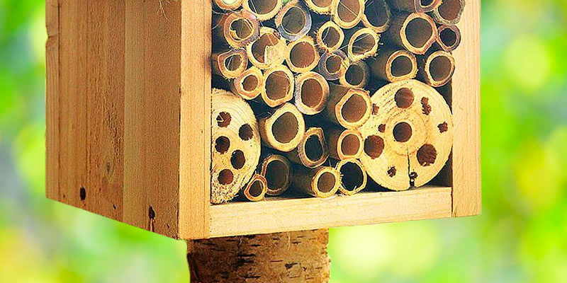 Review of Plant Theatre PTDE/BEE/HOTEL Bee Hotel with Metal Roof