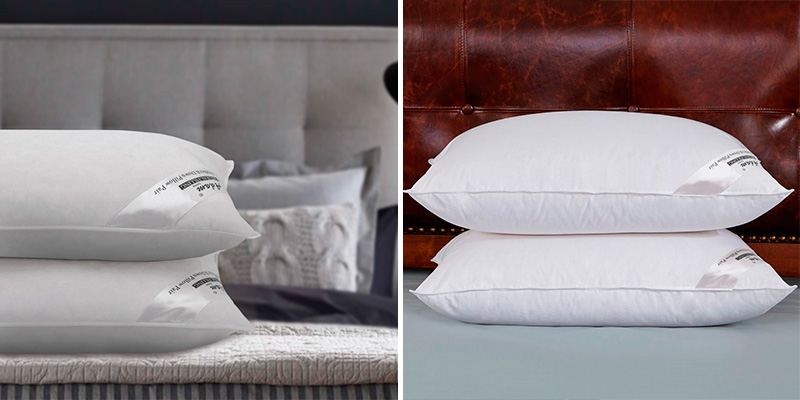 Review of Adam Home Pack of 2, Standard Size Duck Feather and Down Pillows