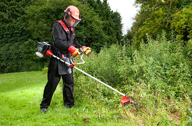 Best Brush Cutters to Get Rid of Dense Plant Growth  
