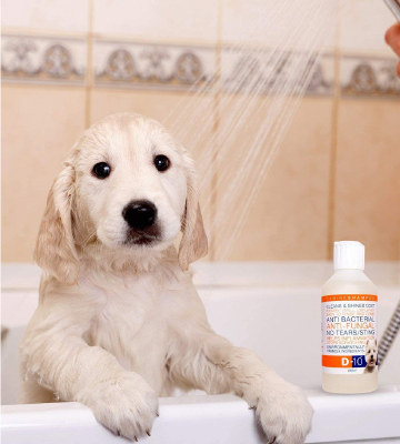 D-10 Anti-Fungal/Anti-Bacterial Dog Shampoo - Bestadvisor