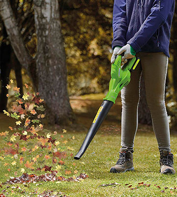 Garden Gear G1166 Cordless Leaf Blower - Bestadvisor