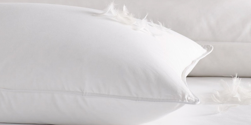 Review of Linens Limited Hypoallergenic White Duck Feather Pillows
