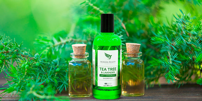 Review of Moksha Beauty Tea Tree for Dry Itchy Flaky Scalp