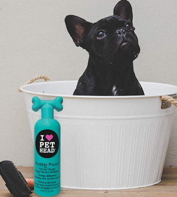 Pet Head Puppy Fun!! Hypoallergenic Tearless Shampoo - Bestadvisor