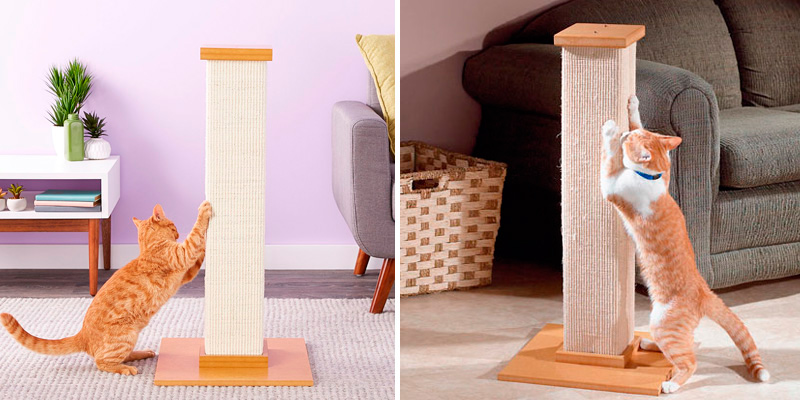 Review of Smart Cat The Ultimate Scratching Post