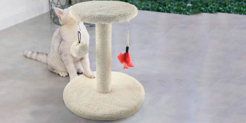 Review of Zubita Kitty Furniture Scratching Post Cat Tree Tower,