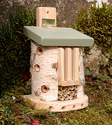Wildlife World LBT3 Friendly Bug Barn for Butterfly and Other Insects - Bestadvisor