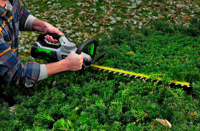 Best Hedge Trimmers to Keep Your Hedge Under Control  