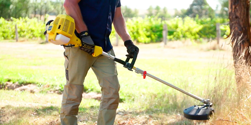 Review of Stanley (STR-4IN1A) 4 in 1 Brush Cutter, Hedge, Line Trimmer, Pole Pruner, Multitool
